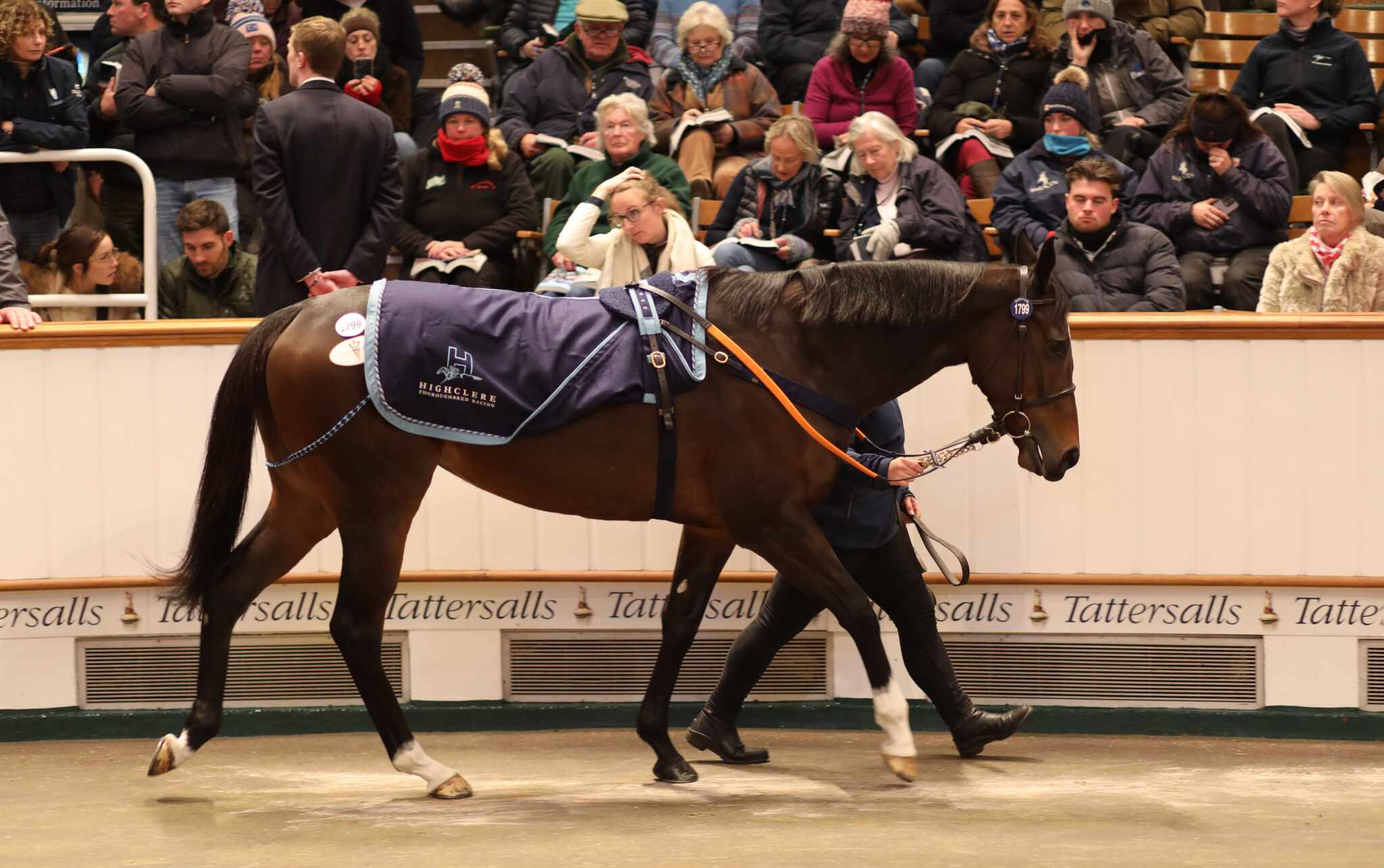 Spectacular scenes at Tattersalls for Highclere Stud-consigned Cachet